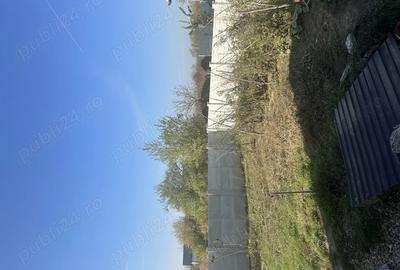 Vand casa la curte Vand casa la curte - 5