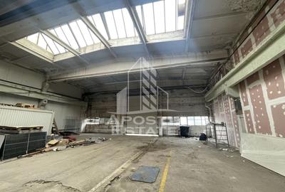 Hala depozitare, productie 1400 mp , platforma industriala, Buziasului - 3