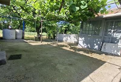 Casă cu Teren 2600 Mp în Movila Miresii - 7