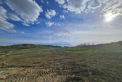 15 parcele de 1000 mp de vanzare in Breaza Prahova- toate... - 6