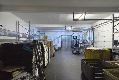 Spațiu industrial, de 560 mp, în Apateu - 4