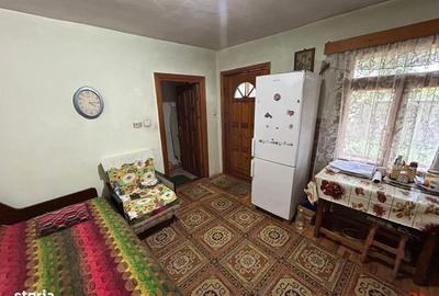 Casă cu 2 camere în Mirceștii Noi - 3