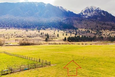 Zarnesti, str. Barsei, intravilan, priveliste Piatra Craiului, PUZ aprobat - 4