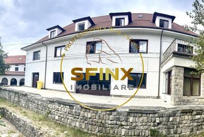 Vila Zoldy, 21.823 mp teren cu iesire catre paraul Prahova - 6