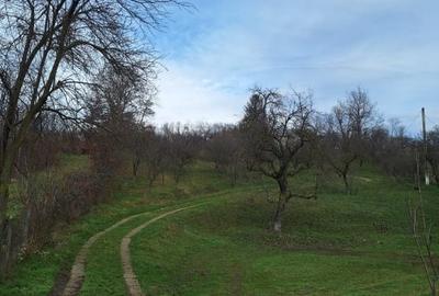 Teren Construcții intravilan de 5950 mp, în Central - 9