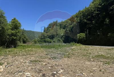 Teren intravilan 1500 mp Valea Ierii - 7