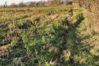 Teren intravilan in Ususau - 2