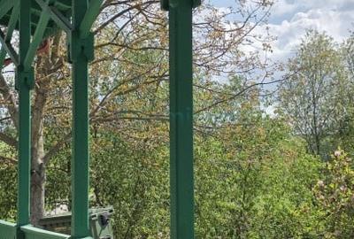 Proprietate specială, de 800 mp, în Poiana (Tăuteu) - 11