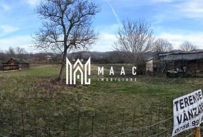 Teren Construcții intravilan de 4000 mp, în Costești - 4