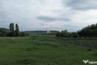 Teren de 3953 mp, în Fălticeni - 9