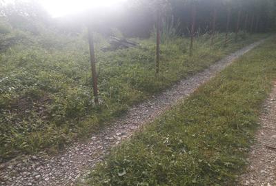 Teren de 760 mp, în Fieni - 4