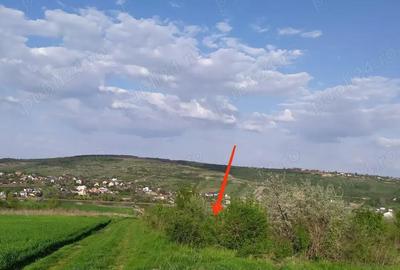 Teren de 3000 mp, în Șorogari - 2