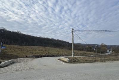 Teren de 600 mp, în Corunca - 6