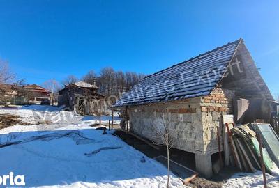 Casă cu 3 camere cu Teren 3877 Mp în Valea Danului - 9