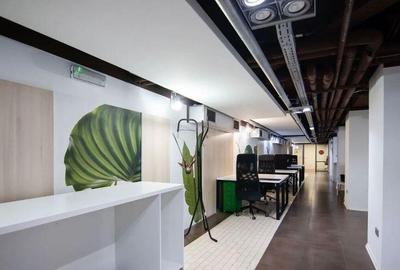 Spațiu comercial, de 715 mp, în Kiseleff - 13