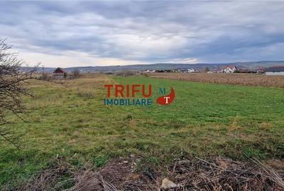 Teren 2160mp în  Partoș - 5