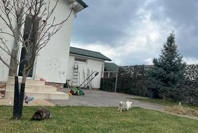 Casă cu 5 camere cu Teren 500 Mp în Săbăreni - 14