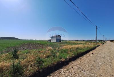 Teren intravilan Maracineni / Strada Manga - 10