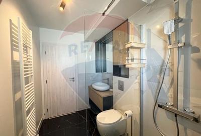 Apartament 3 camere de inchiriat vila  zona Milea - 7