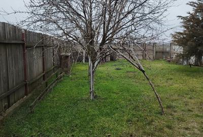 Casă cu 6 camere cu Teren 500 Mp în Ilfoveni - 1