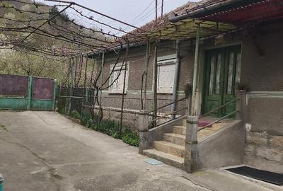 Casă cu 3 camere cu Teren 700 Mp în Hărău - 3