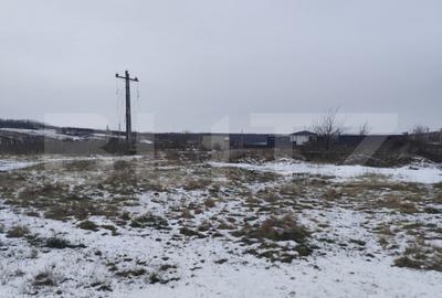 Teren de 2570 mp, în Dumbrava (Ciurea) - 1
