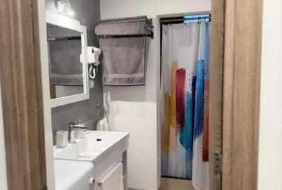 Apartament cu 2 camere decomandat, mobilat în Rovine - 3