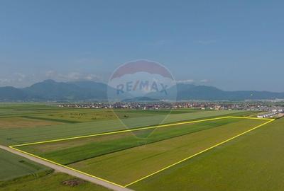 Teren 42,000mp Tarlungeni / Strada Izvor Teren 42,000mp Tarlungeni / Strada Izvor - 1