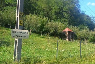 Teren de 7000 mp, în Voia - 7