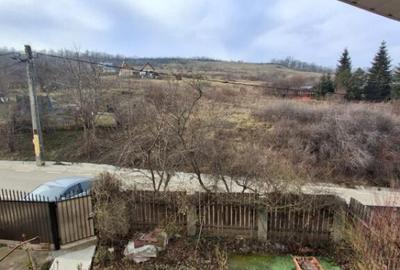 CASA INDIVIDUALA in sat VLADICENI com. TOMESTI - 6