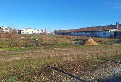 Teren de 6285 mp, în Tărian - 7