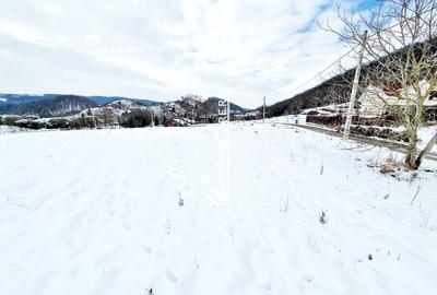 Teren intravilan 1.500 mp. Corunca Valea Iubirii 65 euro mp - 3