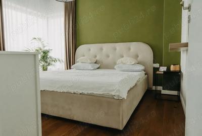 Vand casa finisata si mobilata in Dezmir - 1