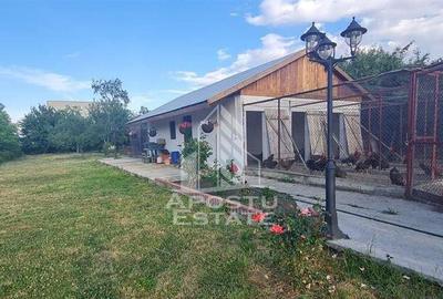 Casa cu teren de 2000 mp, Timisoara - 2