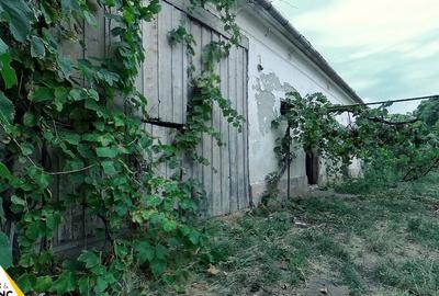 Casa traditionala din caramida de 534 mp cu 4 camere in Neudorf - 20