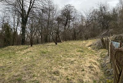 Spațiu comercial, în Slătinioara