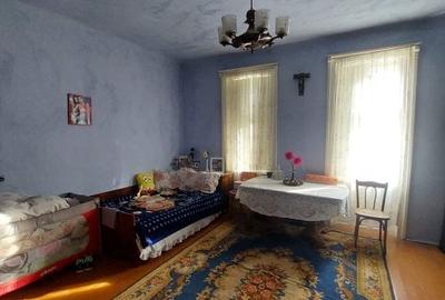 Gelu – Casa 4 Camere – Teren 6700 mp Gelu – Casa 4 Camere – Teren 6700 mp - 9