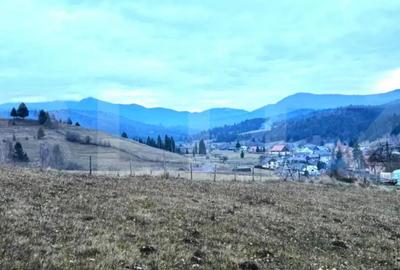 Teren de 2500 mp, în Colibița - 2