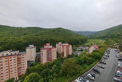 Apartament cu 2 camere nedecomandat, mobilat în Răcădău - 8