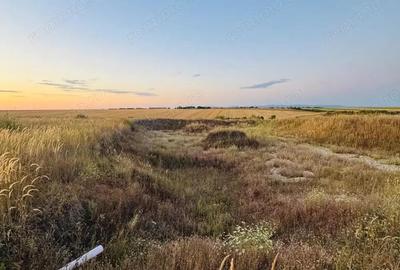 AV655 Teren-Balta 6.666mp, in Masloc-Alios, IDEAL INVESTITIE AV655 Teren-Balta 6.666mp, in Masloc-Alios, IDEAL INVESTITIE - 9
