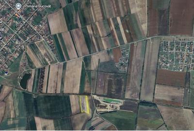 Teren agricol extravilan de 23600 mp, în Bucovăț (Remetea Mare)