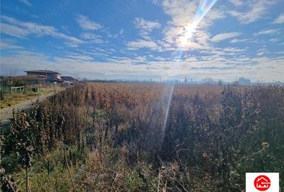 Teren de 3900 mp, în Nazna - 1