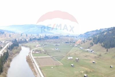 Teren Construcții intravilan de 7834 mp, în Dorna-Arini - 2