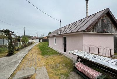 Casă cu Teren 5500 Mp în Bălteni - 5