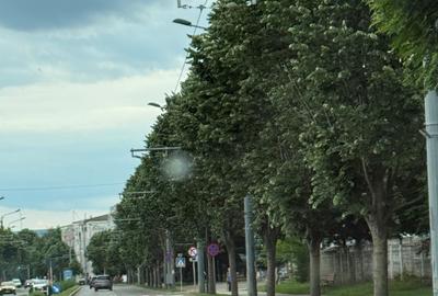 Spațiu comercial, de 67 mp, în Spital - 5