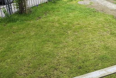 Apartament 3 camere Ultracentral Pitesti - 8