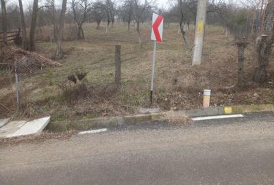 Spațiu comercial, în Fedeleșoiu - 1