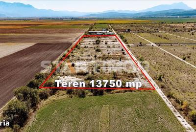 Spațiu comercial, în Central - 3