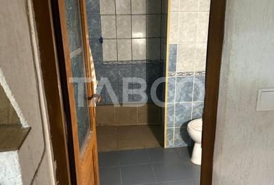 Cazare pentru muncitori 4 apartamente 20 de paturi Terezian Sibiu - 10