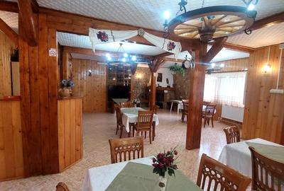 Hotel/Pensiune, de 6 mp, în Lepșa - 5
